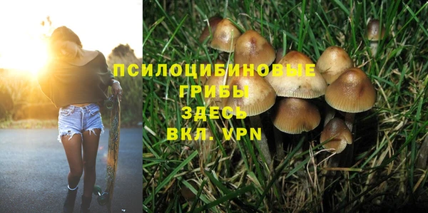 хмурый Алексеевка
