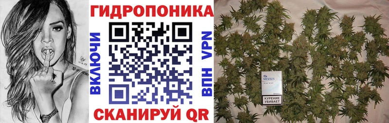 MEGA ТОР  Курганинск  Канабис LSD WEED 